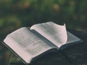 Open Bible on a dark surface