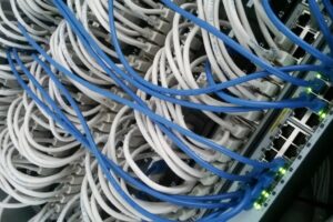 Blue network cables plugged into a patch panel